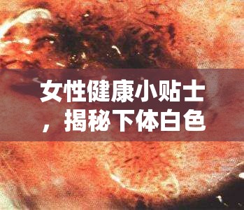 女性健康小貼士，揭秘下體白色分泌物的真相