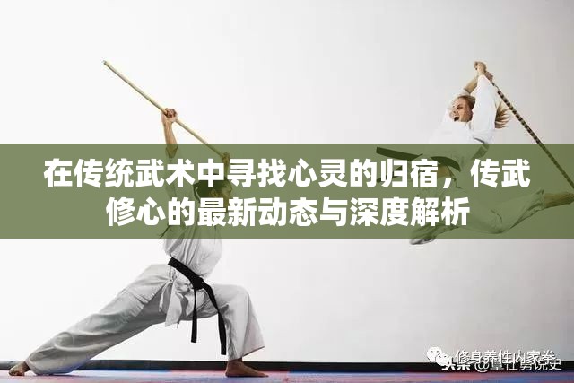 在傳統(tǒng)武術(shù)中尋找心靈的歸宿，傳武修心的最新動(dòng)態(tài)與深度解析