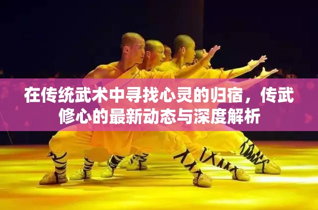 在傳統(tǒng)武術(shù)中尋找心靈的歸宿，傳武修心的最新動(dòng)態(tài)與深度解析