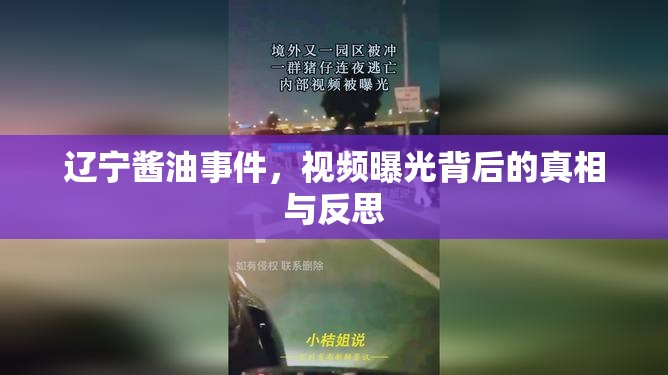 遼寧醬油事件，視頻曝光背后的真相與反思