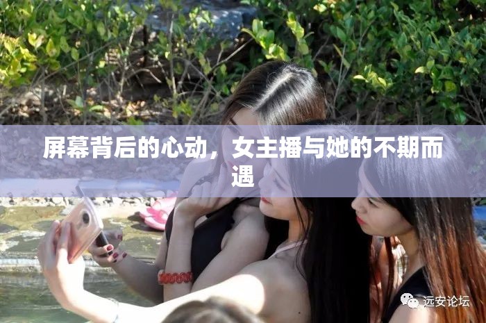 屏幕背后的心動(dòng)，女主播與她的不期而遇