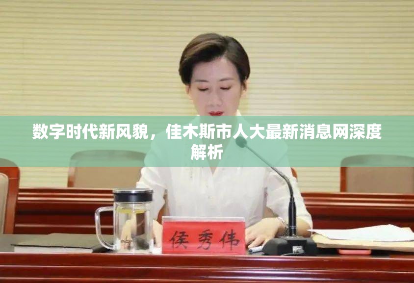 數(shù)字時代新風貌，佳木斯市人大最新消息網(wǎng)深度解析