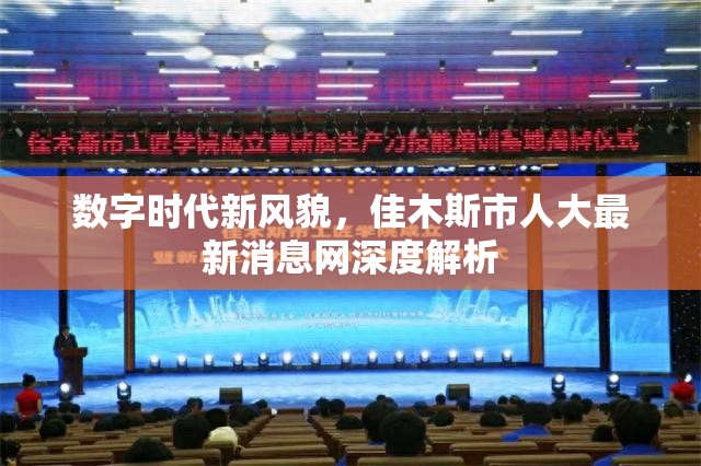 數(shù)字時代新風貌，佳木斯市人大最新消息網(wǎng)深度解析