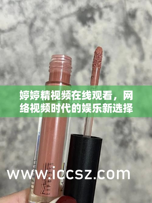 婷婷精視頻在線(xiàn)觀看，網(wǎng)絡(luò)視頻時(shí)代的娛樂(lè)新選擇