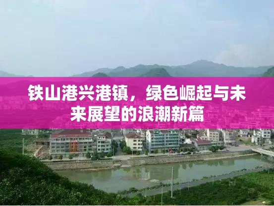 鐵山港興港鎮(zhèn)，綠色崛起與未來展望的浪潮新篇