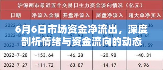 6月6日市場(chǎng)資金凈流出，深度剖析情緒與資金流向的動(dòng)態(tài)