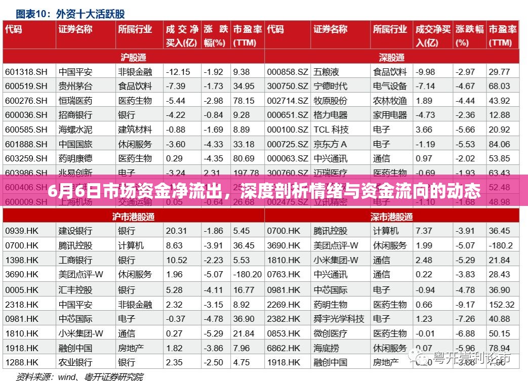 6月6日市場(chǎng)資金凈流出，深度剖析情緒與資金流向的動(dòng)態(tài)
