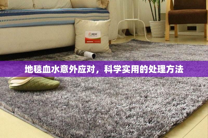 地毯血水意外應(yīng)對，科學(xué)實用的處理方法
