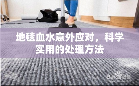 地毯血水意外應(yīng)對，科學(xué)實用的處理方法