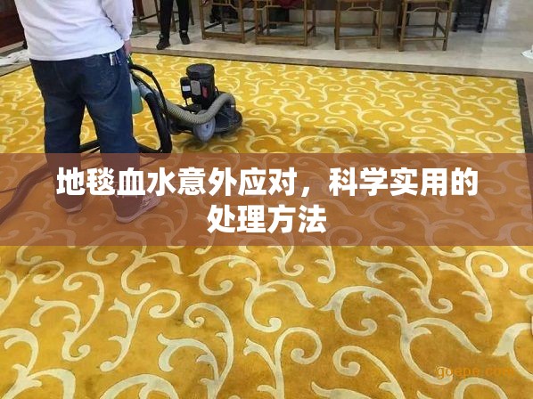 地毯血水意外應(yīng)對，科學(xué)實用的處理方法