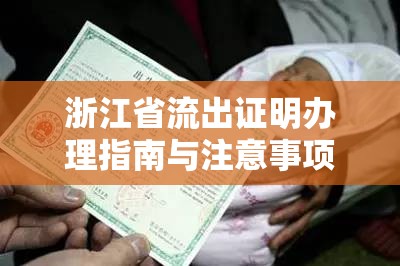 浙江省流出證明辦理指南與注意事項