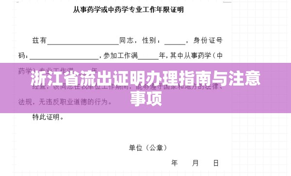 浙江省流出證明辦理指南與注意事項