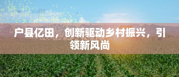 戶縣億田，創(chuàng)新驅(qū)動鄉(xiāng)村振興，引領(lǐng)新風尚