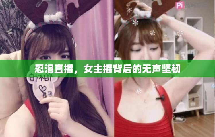 忍淚直播，女主播背后的無(wú)聲堅(jiān)韌