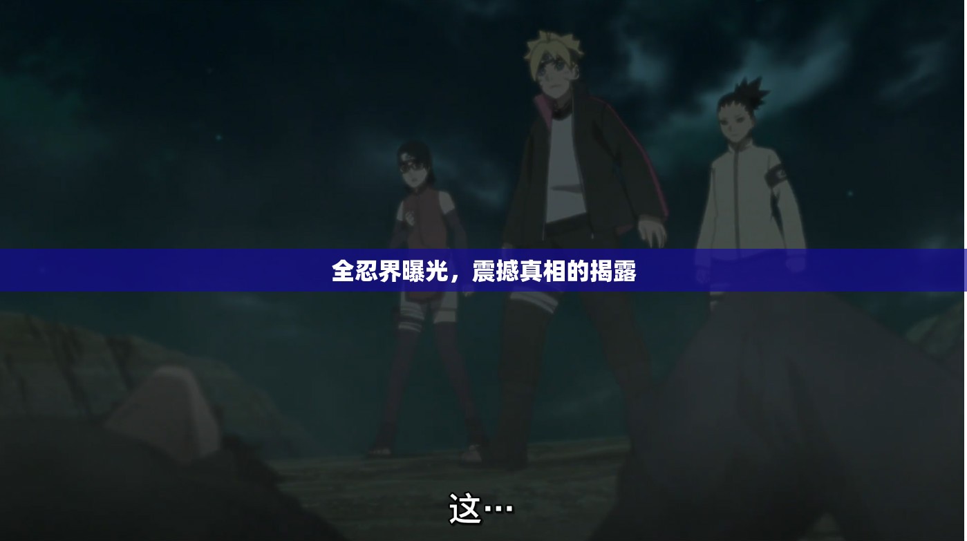 全忍界曝光，震撼真相的揭露