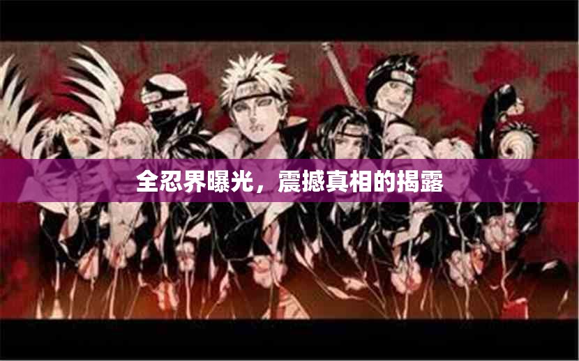 全忍界曝光，震撼真相的揭露
