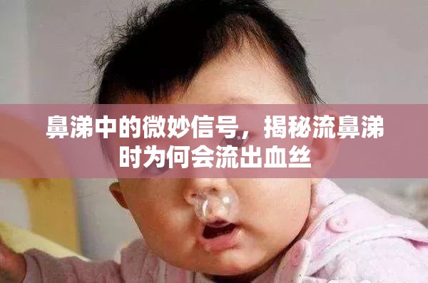 鼻涕中的微妙信號，揭秘流鼻涕時(shí)為何會(huì)流出血絲