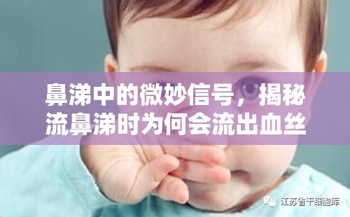 鼻涕中的微妙信號，揭秘流鼻涕時(shí)為何會(huì)流出血絲