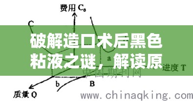 破解造口術(shù)后黑色粘液之謎，解讀原因與應(yīng)對(duì)策略