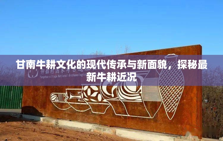甘南牛耕文化的現(xiàn)代傳承與新面貌，探秘最新牛耕近況