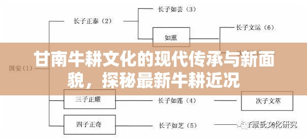 甘南牛耕文化的現(xiàn)代傳承與新面貌，探秘最新牛耕近況