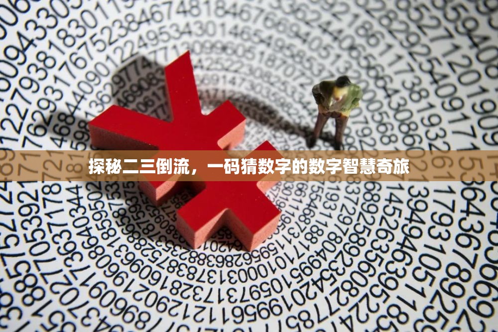探秘二三倒流，一碼猜數(shù)字的數(shù)字智慧奇旅