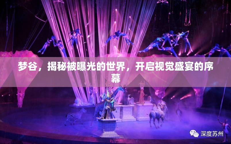 夢谷，揭秘被曝光的世界，開啟視覺盛宴的序幕