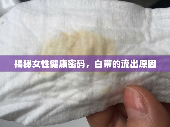 揭秘女性健康密碼，白帶的流出原因