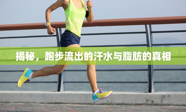 揭秘，跑步流出的汗水與脂肪的真相
