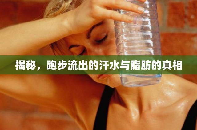 揭秘，跑步流出的汗水與脂肪的真相
