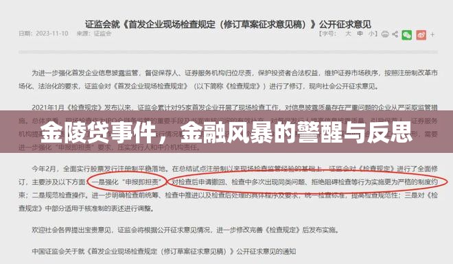 金陵貸事件，金融風(fēng)暴的警醒與反思