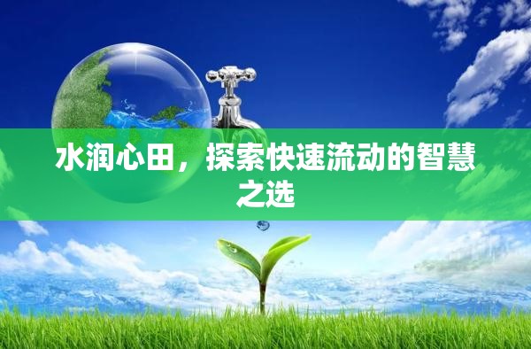 水潤心田，探索快速流動的智慧之選