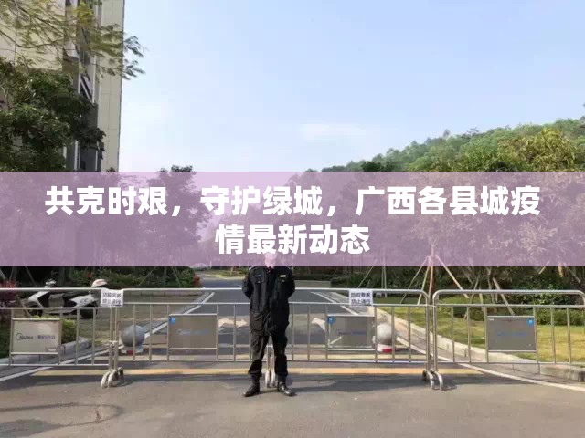 共克時艱，守護綠城，廣西各縣城疫情最新動態(tài)