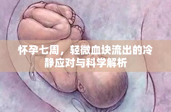 懷孕七周，輕微血塊流出的冷靜應(yīng)對(duì)與科學(xué)解析