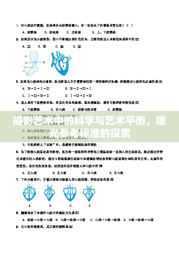 攝影藝術(shù)中的科學(xué)與藝術(shù)平衡，曝光參考標(biāo)準(zhǔn)的探索