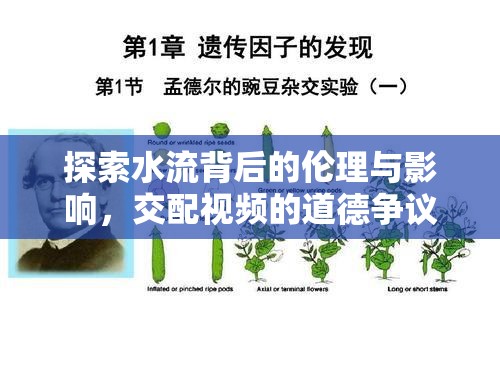 探索水流背后的倫理與影響，交配視頻的道德爭議與影響分析