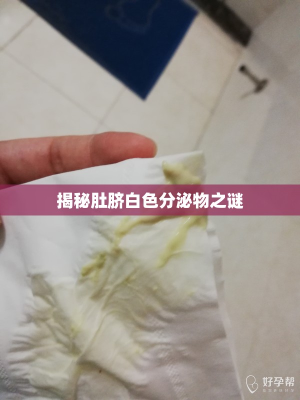 揭秘肚臍白色分泌物之謎