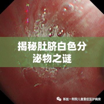 揭秘肚臍白色分泌物之謎
