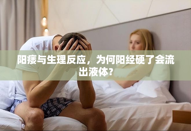 陽痿與生理反應(yīng)，為何陽經(jīng)硬了會流出液體？