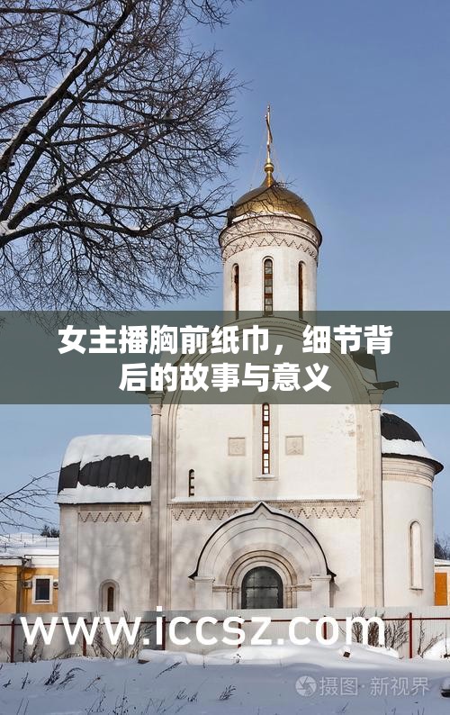 女主播胸前紙巾，細(xì)節(jié)背后的故事與意義