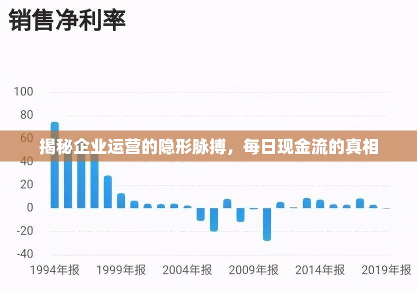 揭秘企業(yè)運(yùn)營(yíng)的隱形脈搏，每日現(xiàn)金流的真相