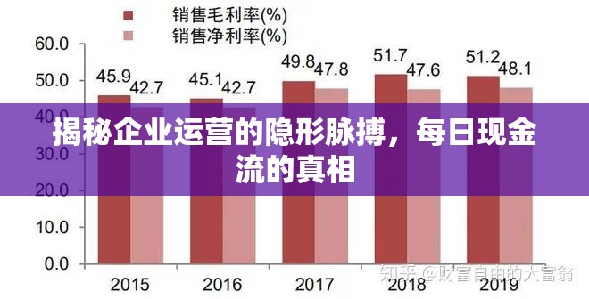 揭秘企業(yè)運(yùn)營(yíng)的隱形脈搏，每日現(xiàn)金流的真相