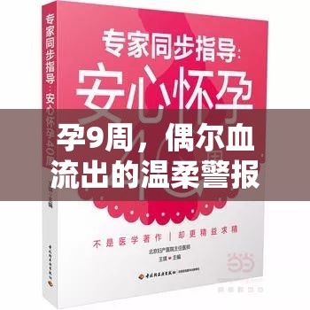 孕9周，偶爾血流出的溫柔警報與安心指南