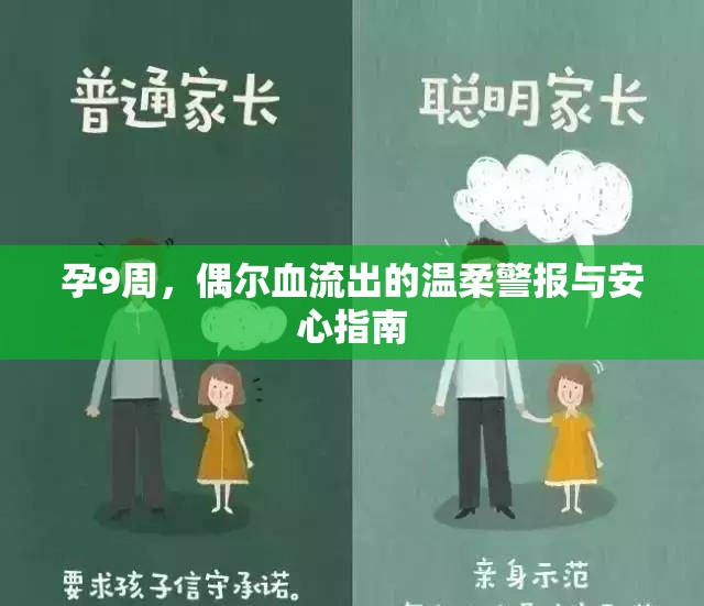 孕9周，偶爾血流出的溫柔警報與安心指南