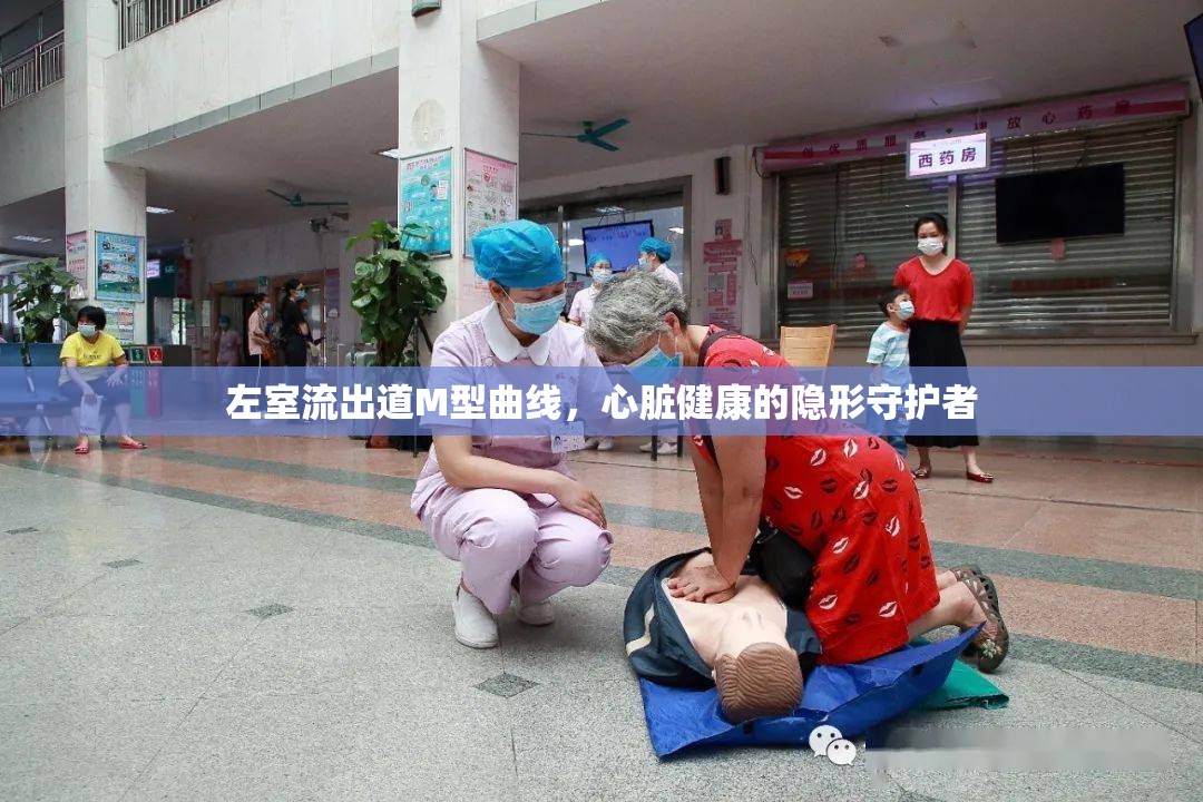 左室流出道M型曲線，心臟健康的隱形守護(hù)者