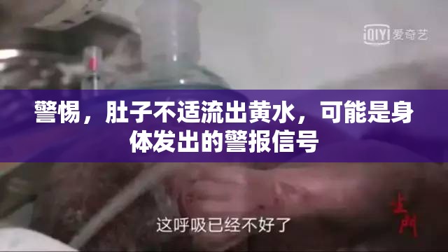 警惕，肚子不適流出黃水，可能是身體發(fā)出的警報(bào)信號(hào)