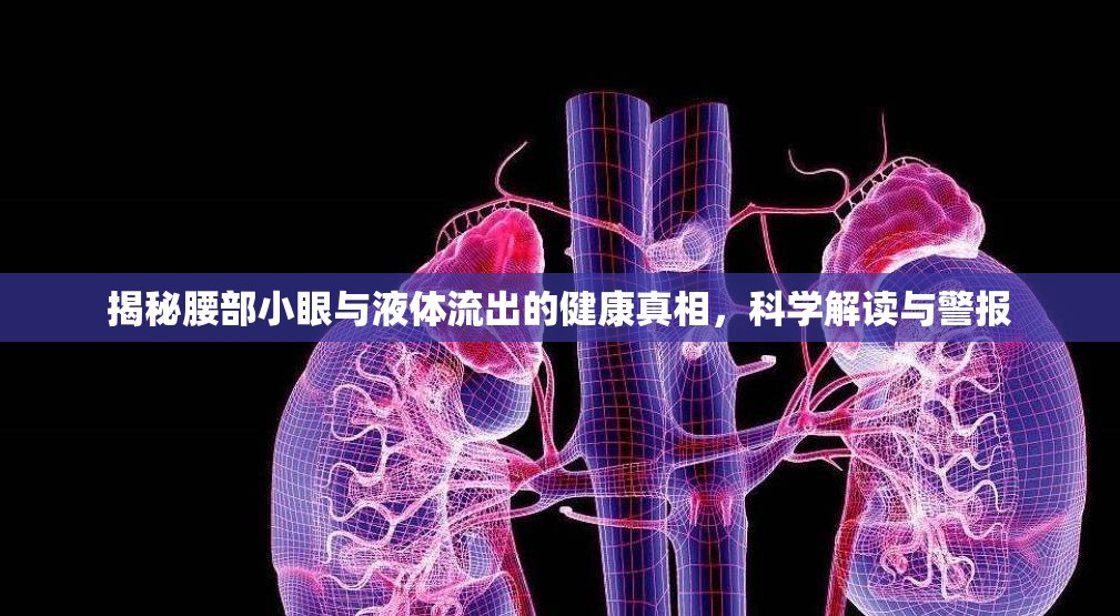 揭秘腰部小眼與液體流出的健康真相，科學(xué)解讀與警報(bào)