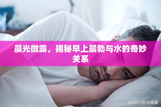 晨光微露，揭秘早上晨勃與水的奇妙關(guān)系
