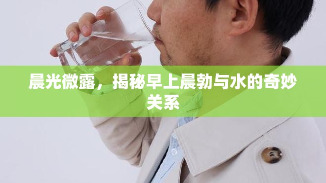 晨光微露，揭秘早上晨勃與水的奇妙關(guān)系