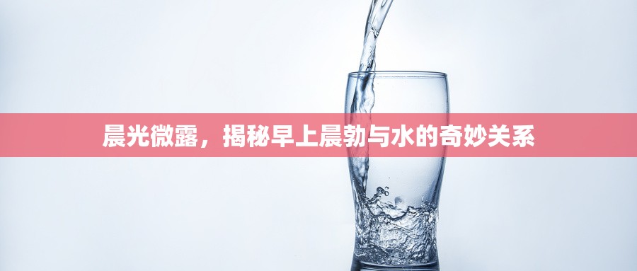 晨光微露，揭秘早上晨勃與水的奇妙關(guān)系